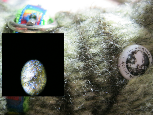 Кошкин дом. Болталка The Cat Collection