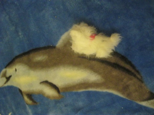 Кошкин дом. Болталка The Cat Collection