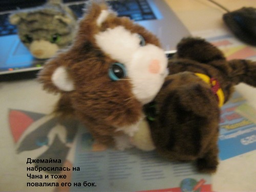 Кошкин дом. Болталка The Cat Collection