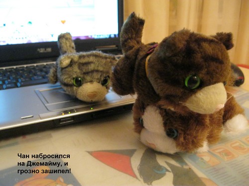 Кошкин дом. Болталка The Cat Collection