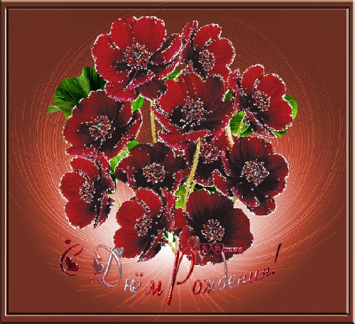 Дом Мечты наши дни рождения