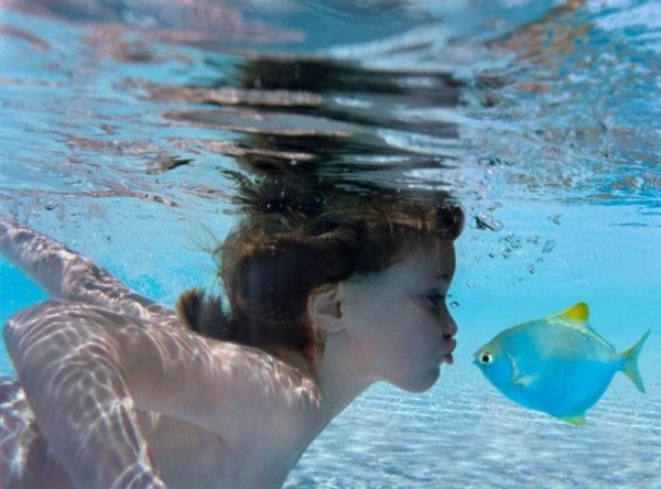 Дом Мечты Болталка: перезагрузка