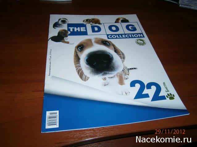 The Dog Collection №22 Бигль