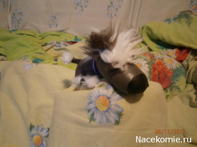 The Dog Collection №66 Китайская хохлатая собака