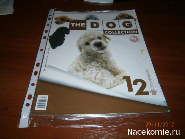 The Dog Collection №12 Тойпудель