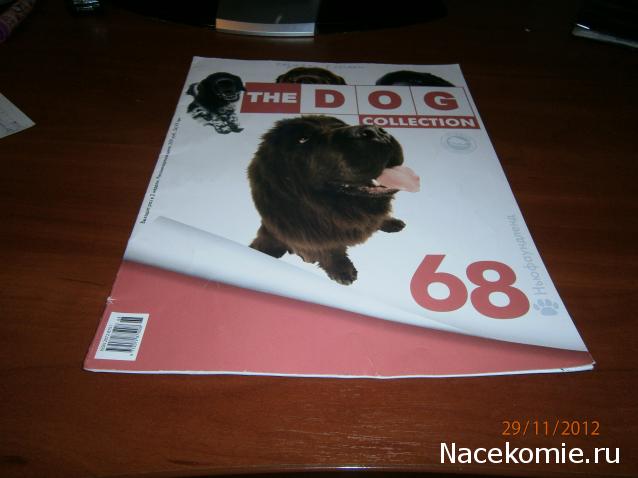 The Dog Collection №68 Ньюфаундленд