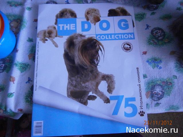 The Dog Collection №75 Спиноне