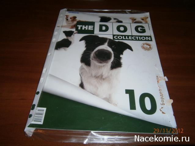 The Dog Collection №10 Бордер-колли