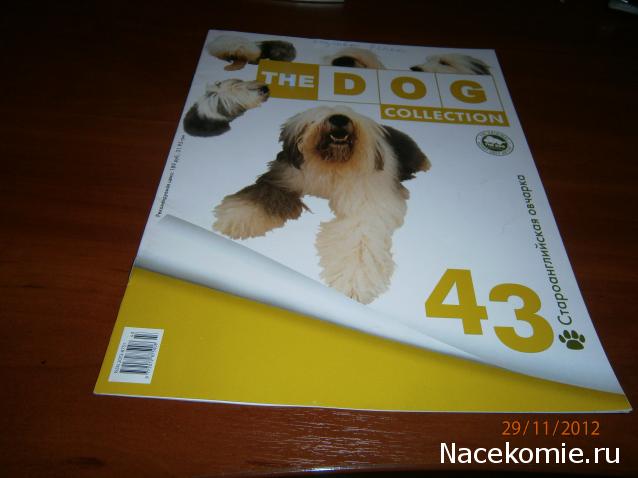 The Dog Collection №43 Бобтейл