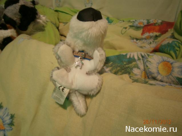 The Dog Collection № 3 - Хаски