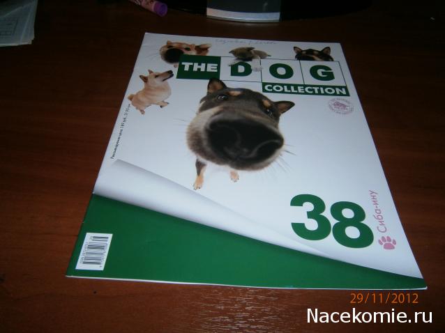 The Dog Collection №38 Сиба-ину