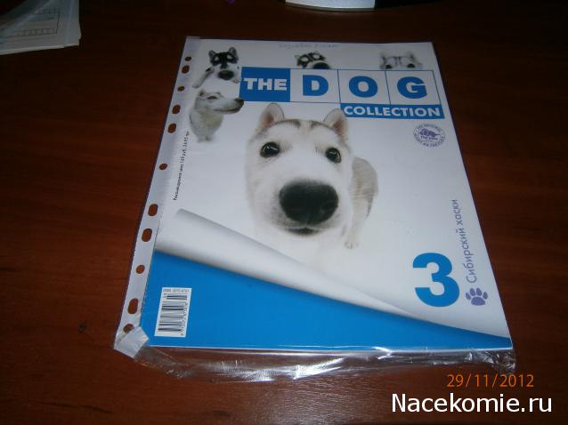 The Dog Collection № 3 - Хаски