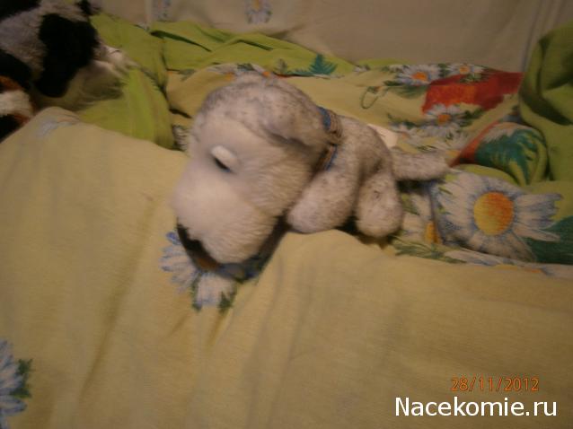 The Dog Collection № 3 - Хаски