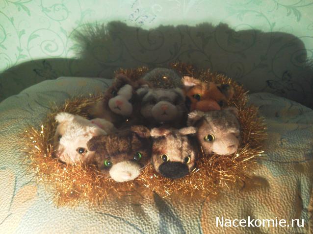 Кошкин дом. Болталка The Cat Collection
