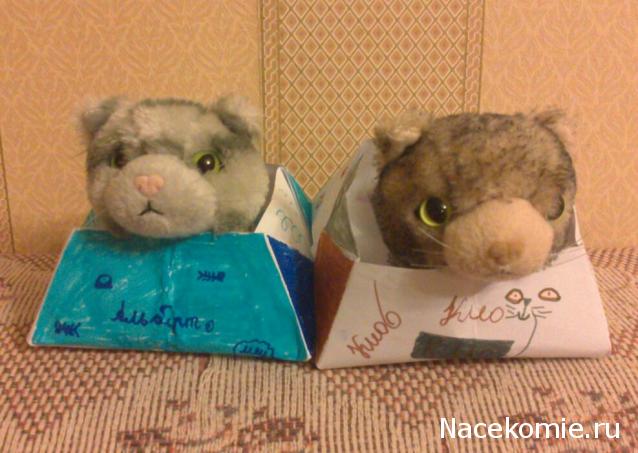 Кошкин дом. Болталка The Cat Collection