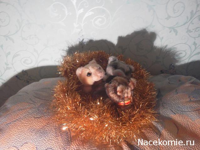 Кошкин дом. Болталка The Cat Collection