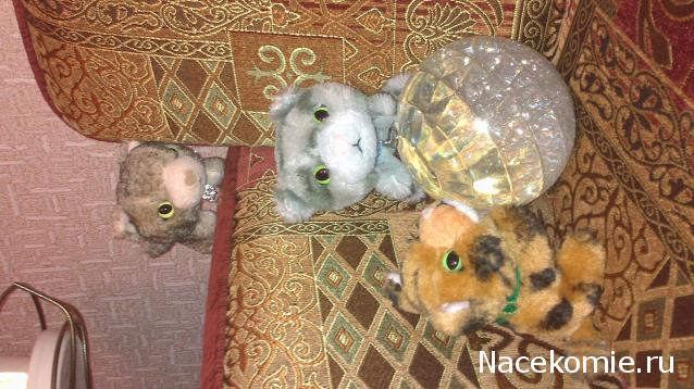 Кошкин дом. Болталка The Cat Collection