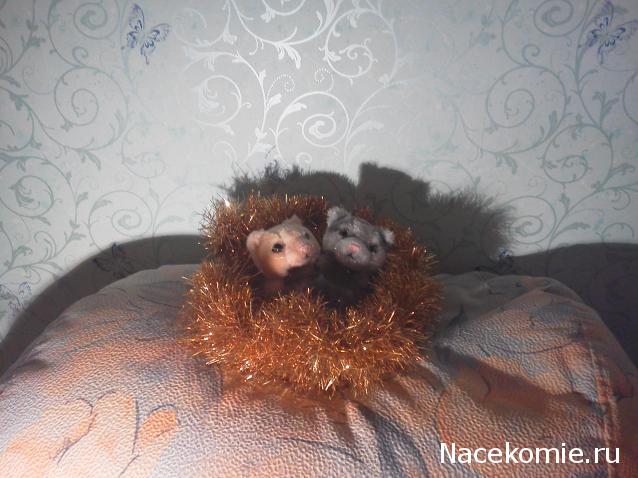 Кошкин дом. Болталка The Cat Collection
