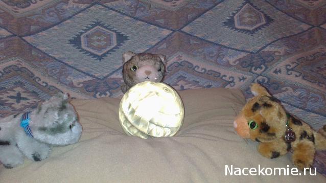 Кошкин дом. Болталка The Cat Collection