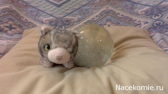 Кошкин дом. Болталка The Cat Collection