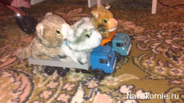 Кошкин дом. Болталка The Cat Collection