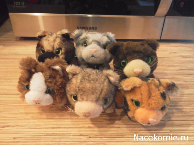 Кошкин дом. Болталка The Cat Collection