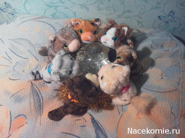Кошкин дом. Болталка The Cat Collection