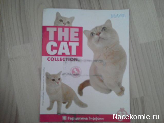 The Cat Collection №33 Тиффани Фото