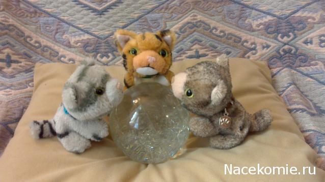 Кошкин дом. Болталка The Cat Collection