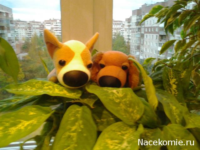 The Dog Collection Болталка