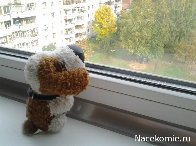 The Dog Collection Болталка