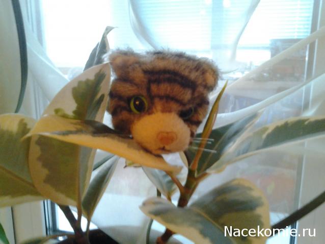 Кошкин дом. Болталка The Cat Collection