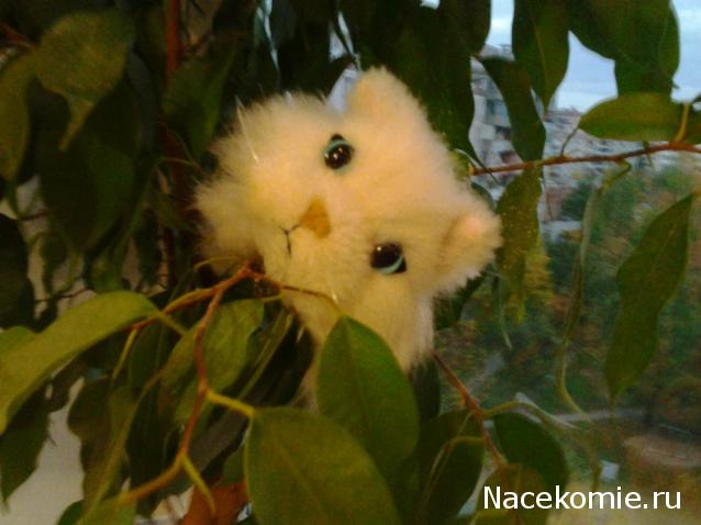Кошкин дом. Болталка The Cat Collection