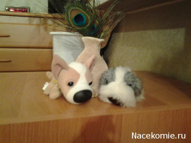 The Dog Collection Болталка