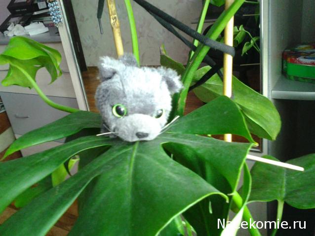 The Cat Collection № 3 Русская голубая Фото