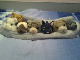 Кошкин дом. Болталка The Cat Collection