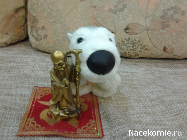 The Dog Collection № 3 - Хаски