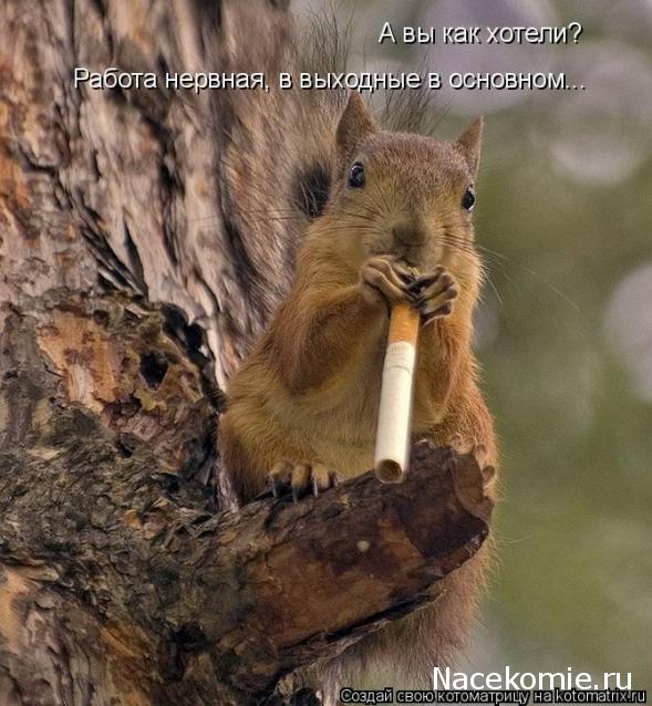 Дом Мечты Болталка: перезагрузка