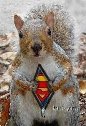 Дом Мечты Болталка: перезагрузка