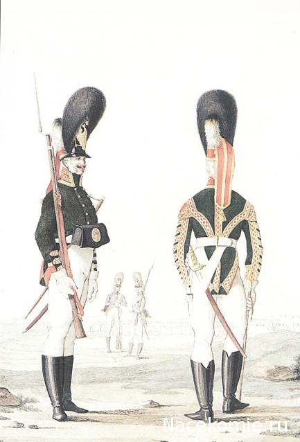 Наполеоновские Войны - График выхода и обсуждение