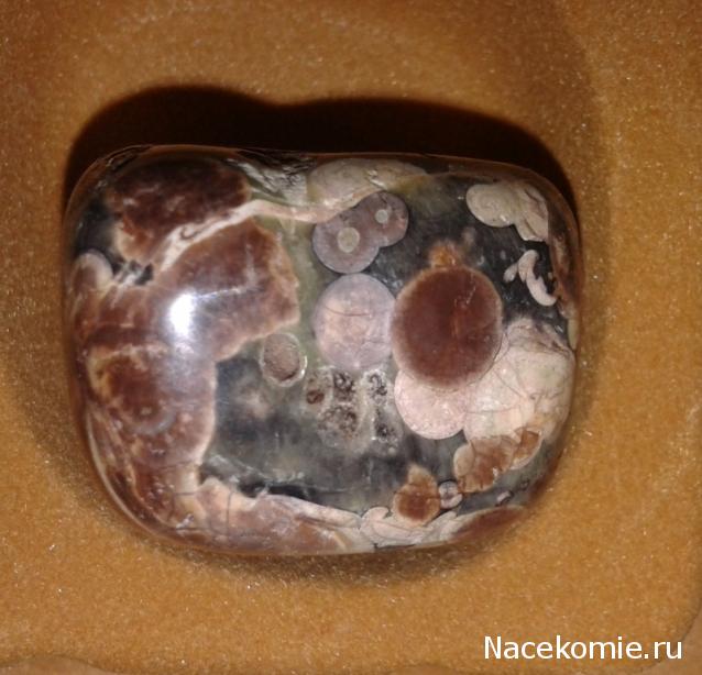 Энергия камней № 96 Леопардовая яшма (окатанный камень) фото, обсуждение