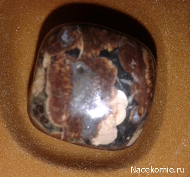 Энергия камней № 96 Леопардовая яшма (окатанный камень) фото, обсуждение