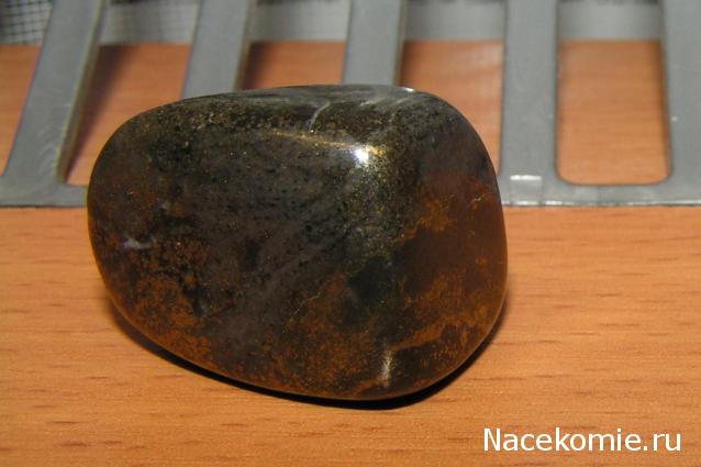 Энергия камней № 98 Пирит (окатанный камень) фото, обсуждение