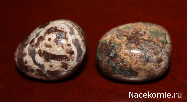 Энергия камней № 96 Леопардовая яшма (окатанный камень) фото, обсуждение