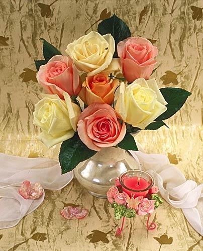 Дом Мечты наши дни рождения