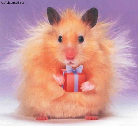 Дом Мечты наши дни рождения