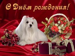 Дамы эпохи - Наши дни рождения