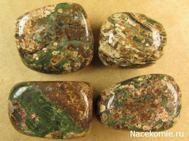 Энергия камней № 96 Леопардовая яшма (окатанный камень) фото, обсуждение