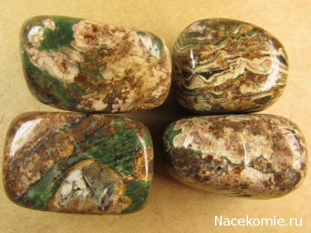 Энергия камней № 96 Леопардовая яшма (окатанный камень) фото, обсуждение