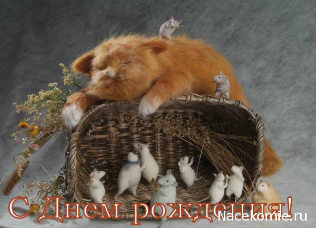 Дом Мечты наши дни рождения